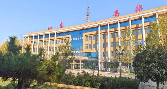 COMPANY PROFILE